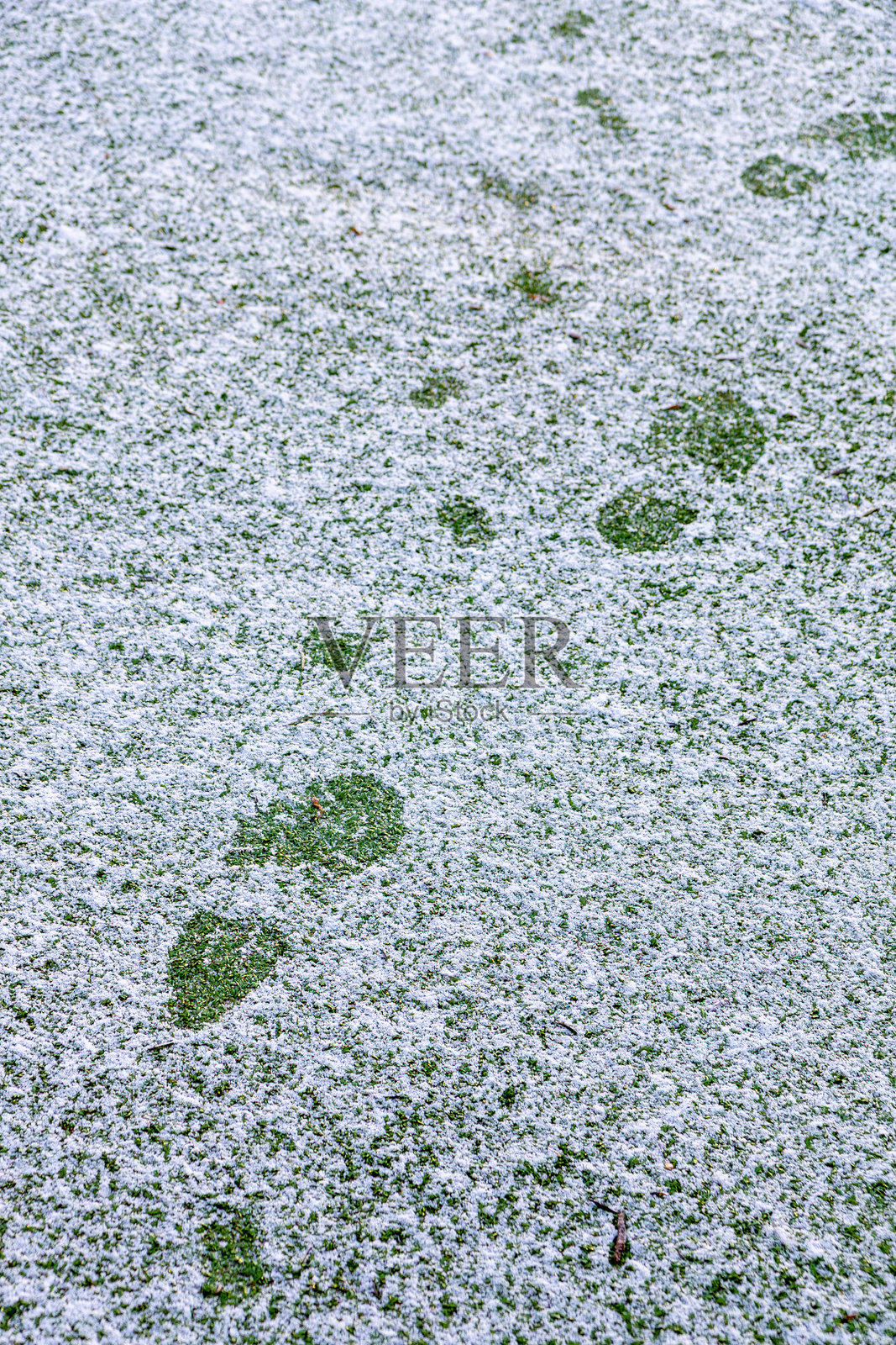 刚下的雪地上，一个人和一只狗留下的脚印。冬季户外场景，展现冰冻的地面、寒冷的天气和行走的活动。照片摄影图片