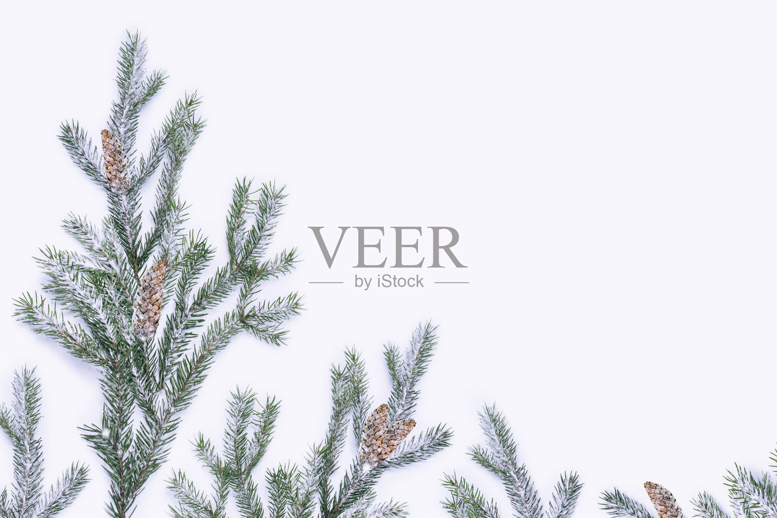 圣诞快乐，新年快乐。松枝和松果的冬季框架，背景为浅色。照片摄影图片