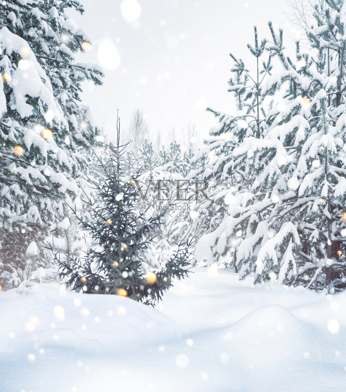 风景。雪中的树。冬天的森林。照片摄影图片