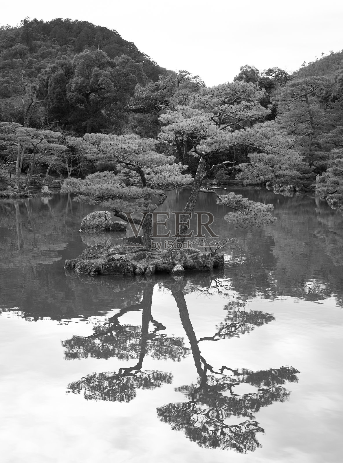 宁静湖泊中倒映的静谧树影照片摄影图片