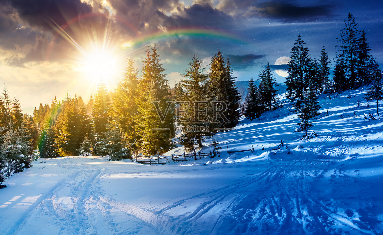 冬日乡村与云杉林照片摄影图片