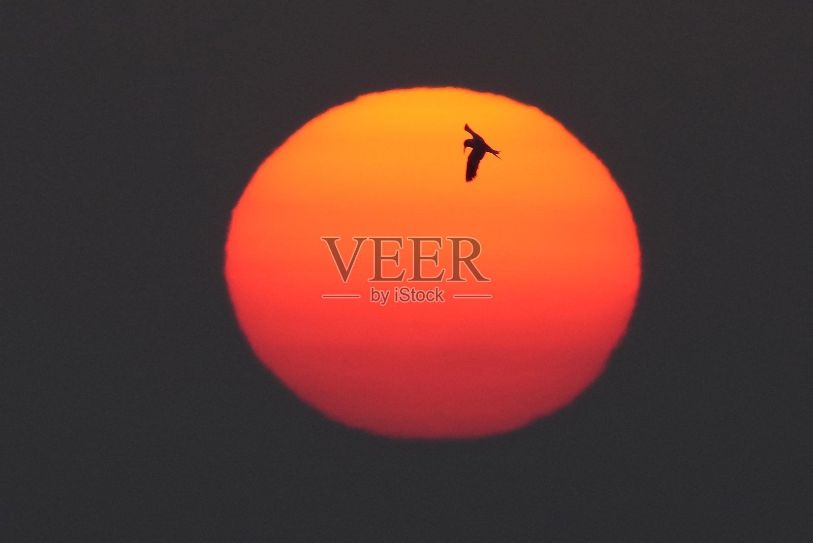 大西洋上的日出照片摄影图片