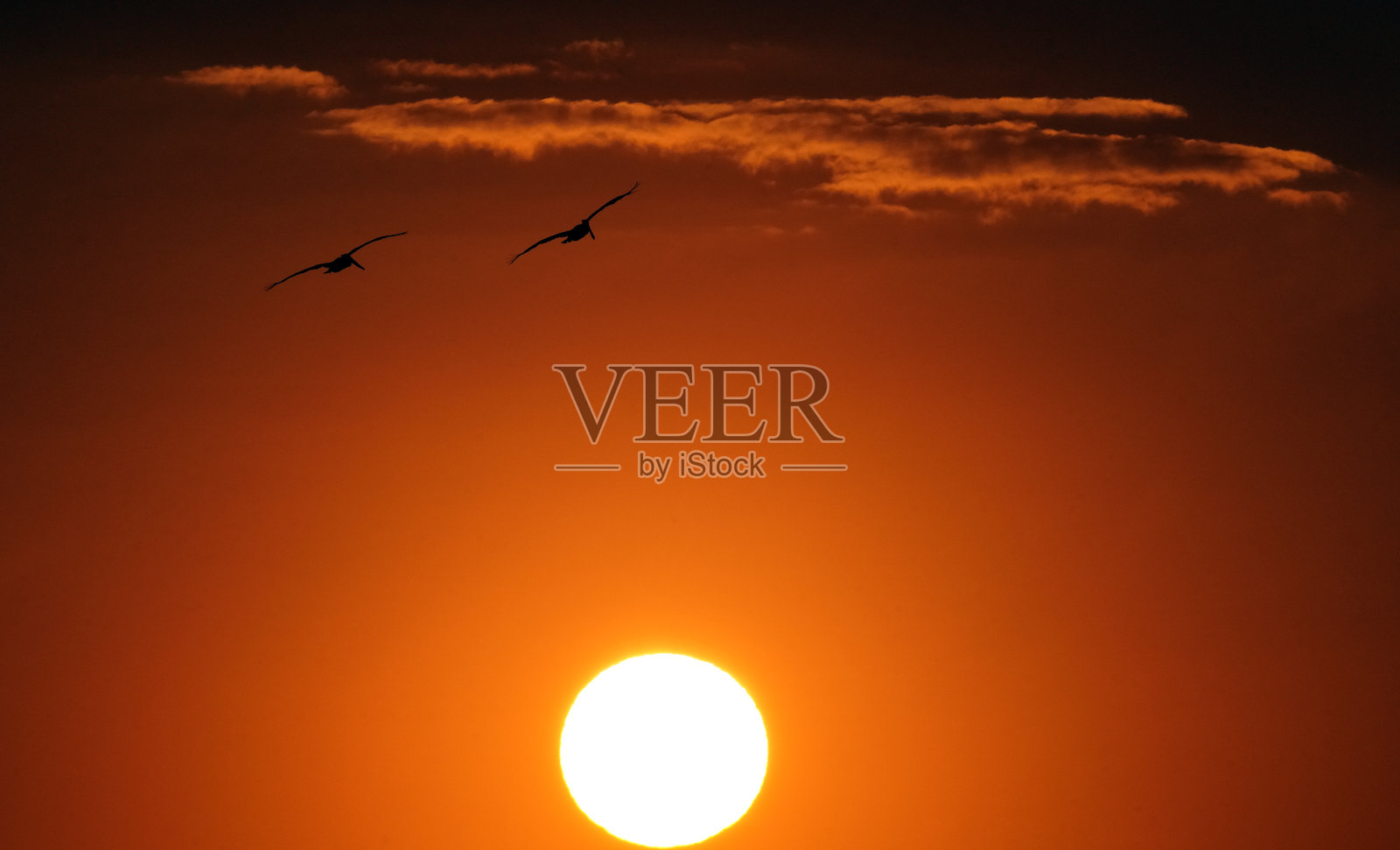 大西洋上的日出照片摄影图片