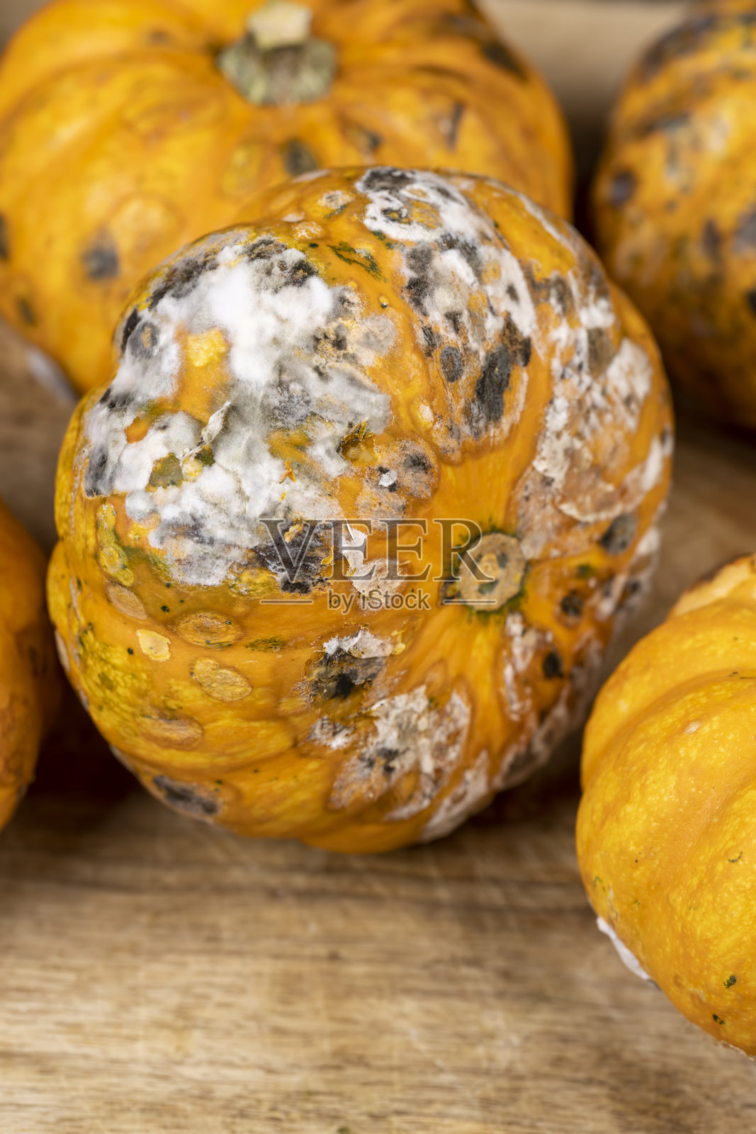被有害霉菌覆盖的小黄南瓜，开始腐烂并长满霉菌的腐烂南瓜照片摄影图片