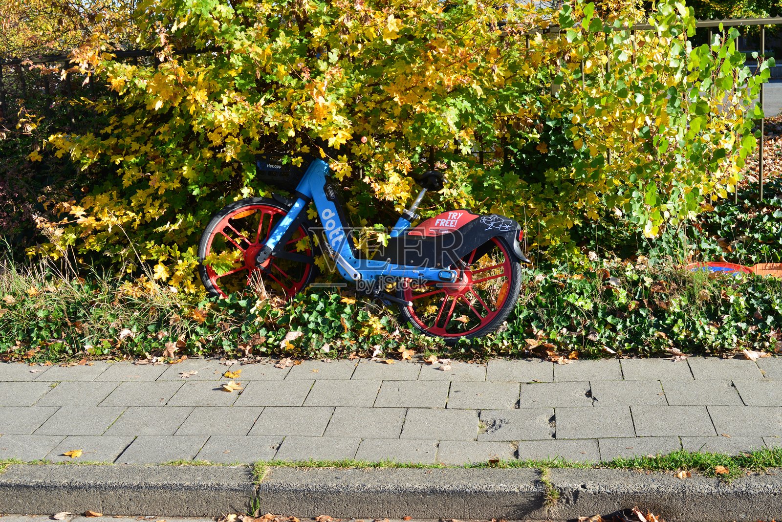 自行车租赁代理照片摄影图片