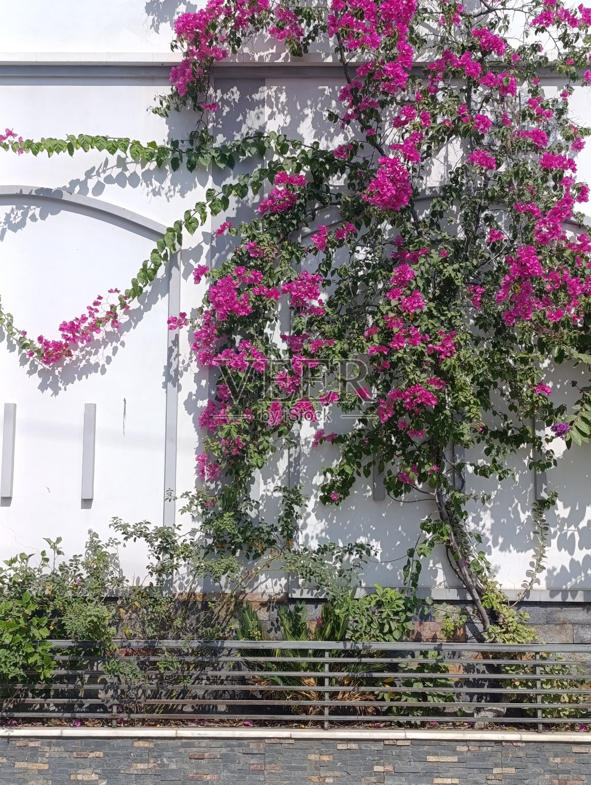 白色小屋墙上的花环照片摄影图片