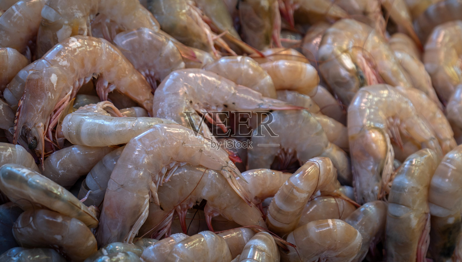新鲜的虾。在鱼市出售。照片摄影图片