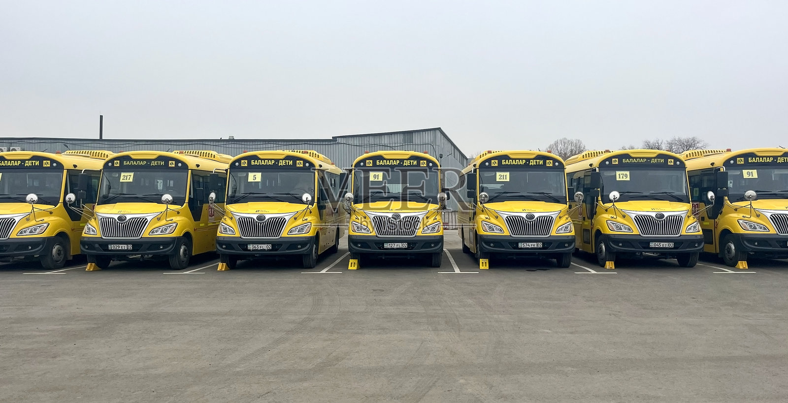 哈萨克斯坦阿拉木图,2025年11月10日。一排黄色校车整齐地停在市内的停车场。照片摄影图片