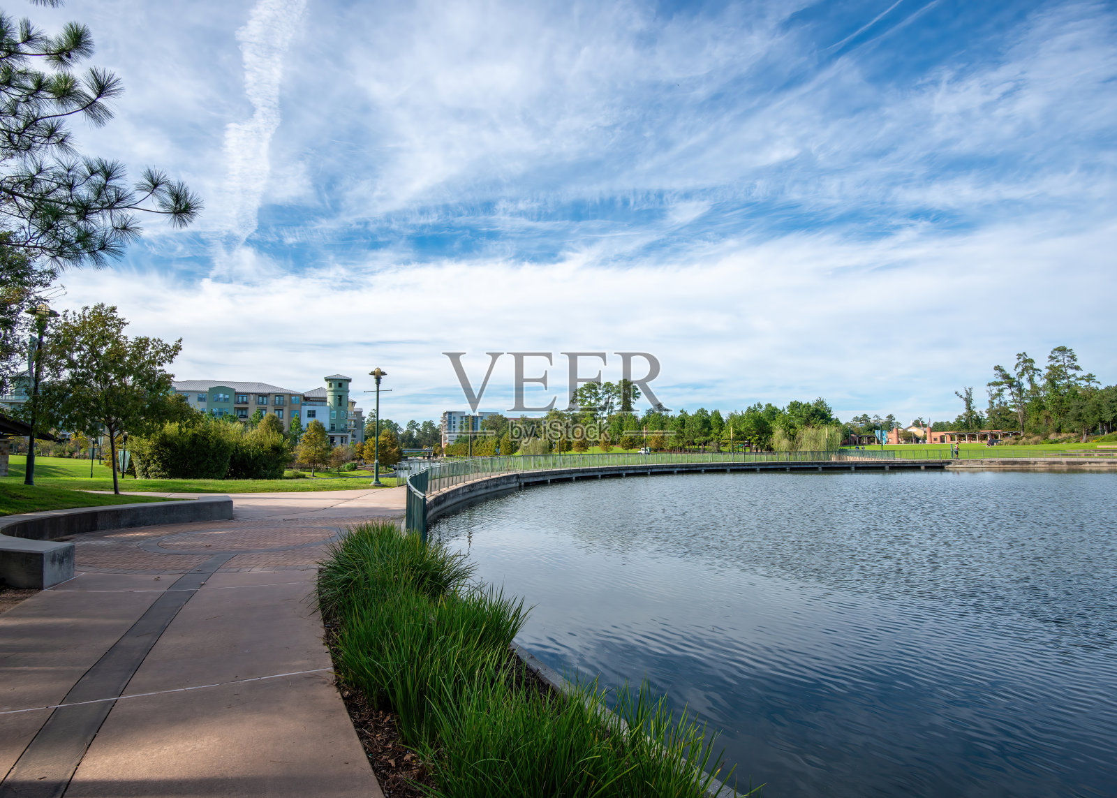 德克萨斯州森林照片摄影图片