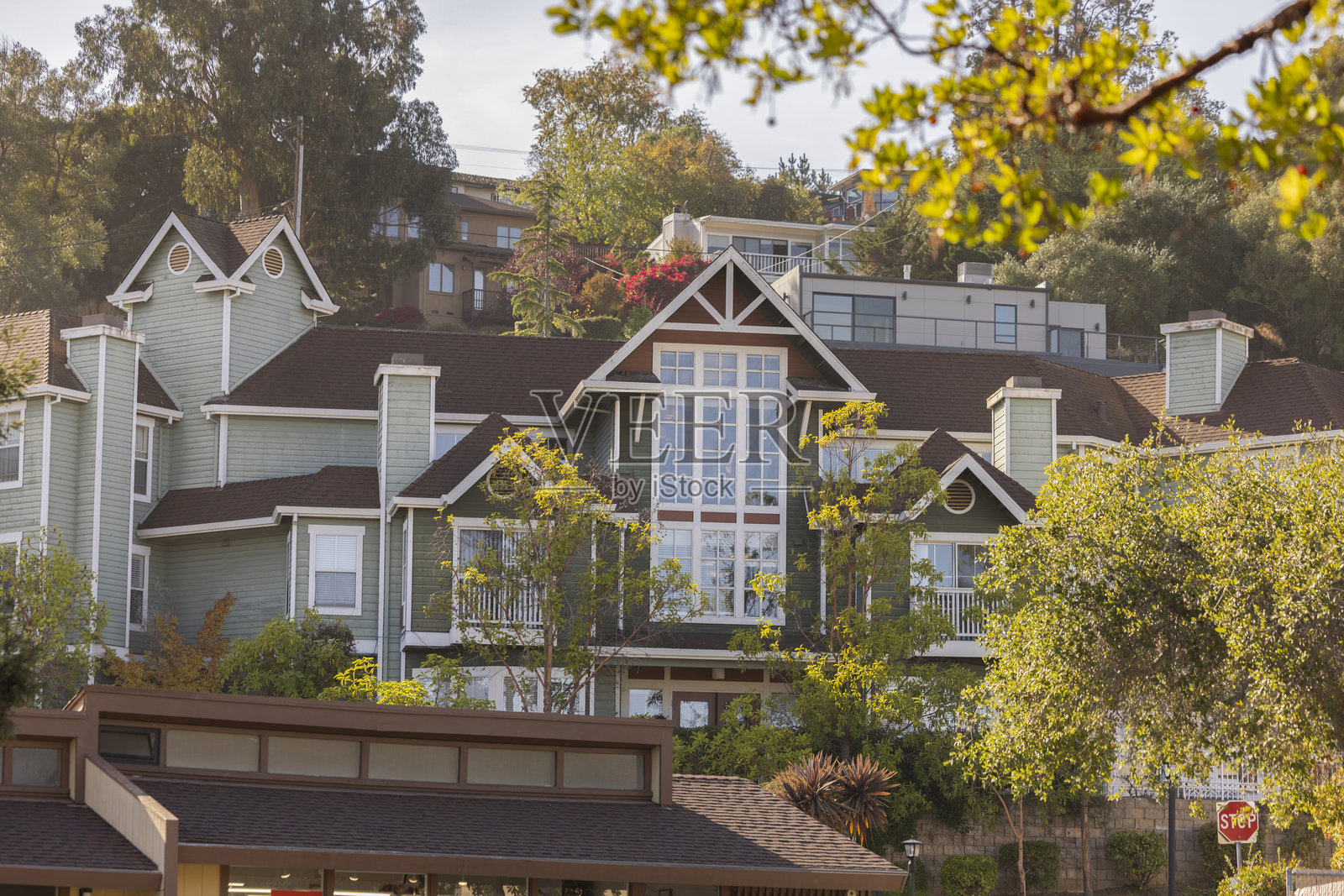 加利福尼亚州贝尔蒙特社区照片摄影图片