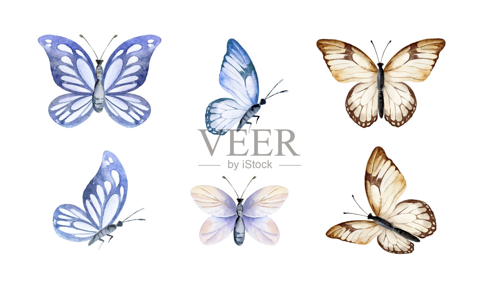 一套不同颜色和形状的水彩蝴蝶插画图片素材