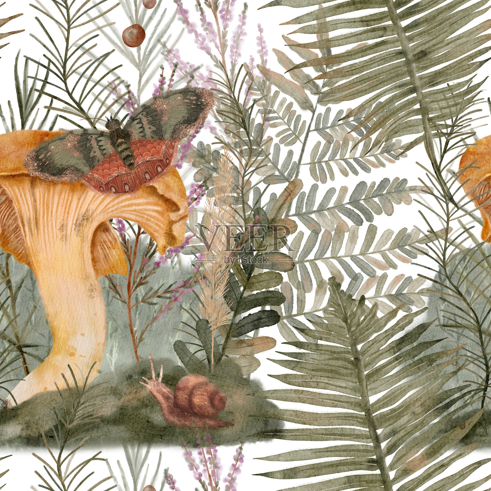 一只蝴蝶停在一只鼻涕虫和一朵蘑菇上的绘画插画图片素材