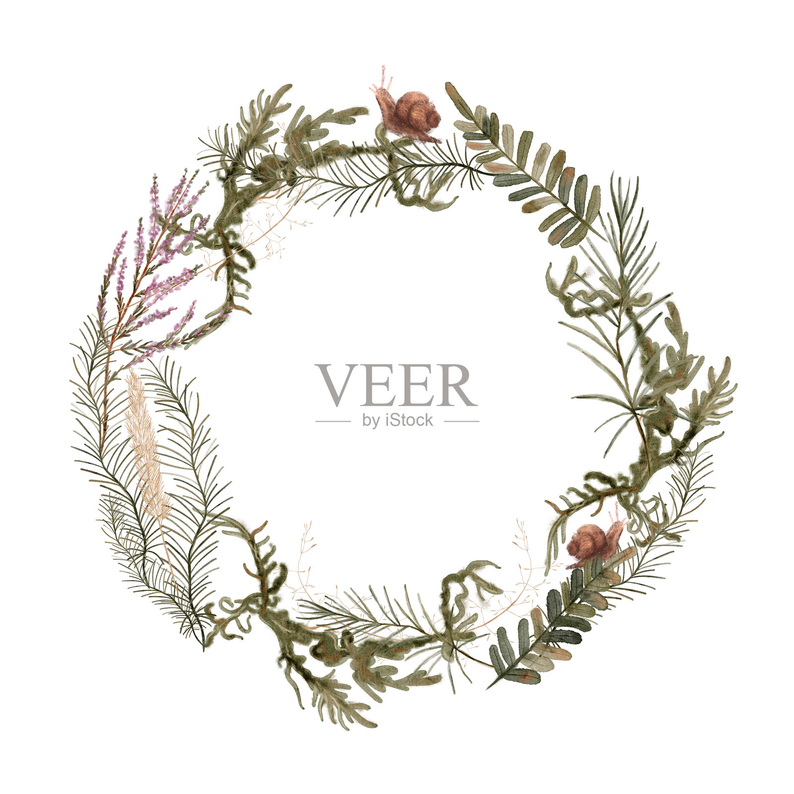 多种植物和鲜花组成的ので花环插画图片素材