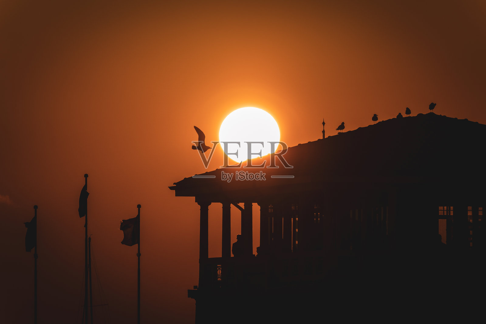 最后的告别照片摄影图片