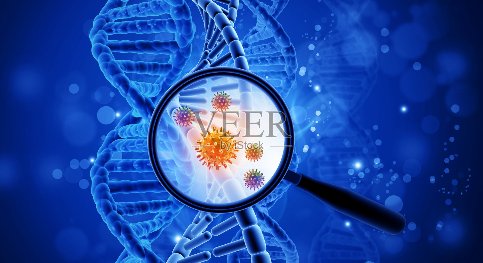 放大镜聚焦于DNA链和病毒。带放大镜的DNA链照片摄影图片