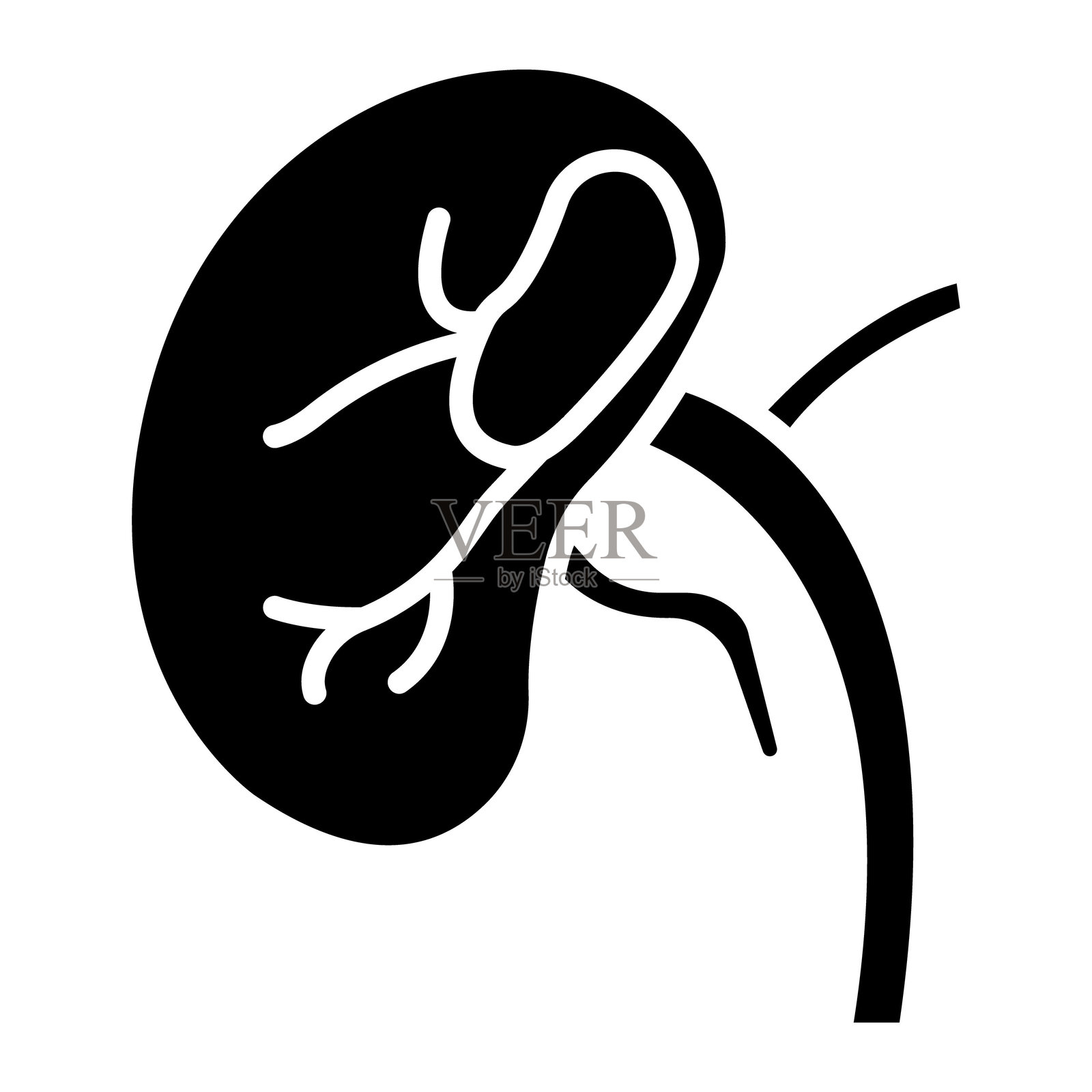 脾脏矢量图标插画图片素材