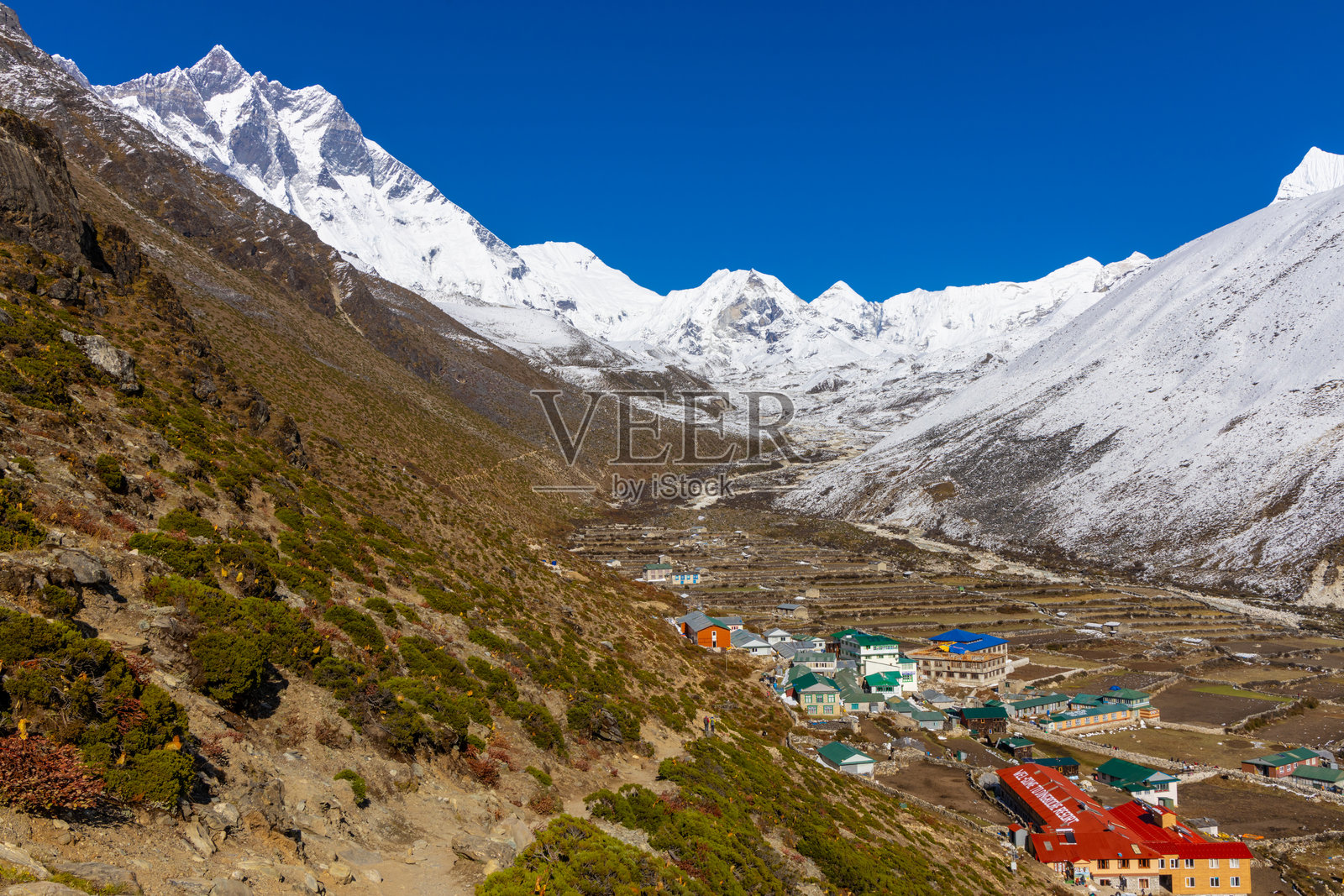 尼泊尔绿色梯田上的乡村房屋。山地农业梯田村庄。照片摄影图片