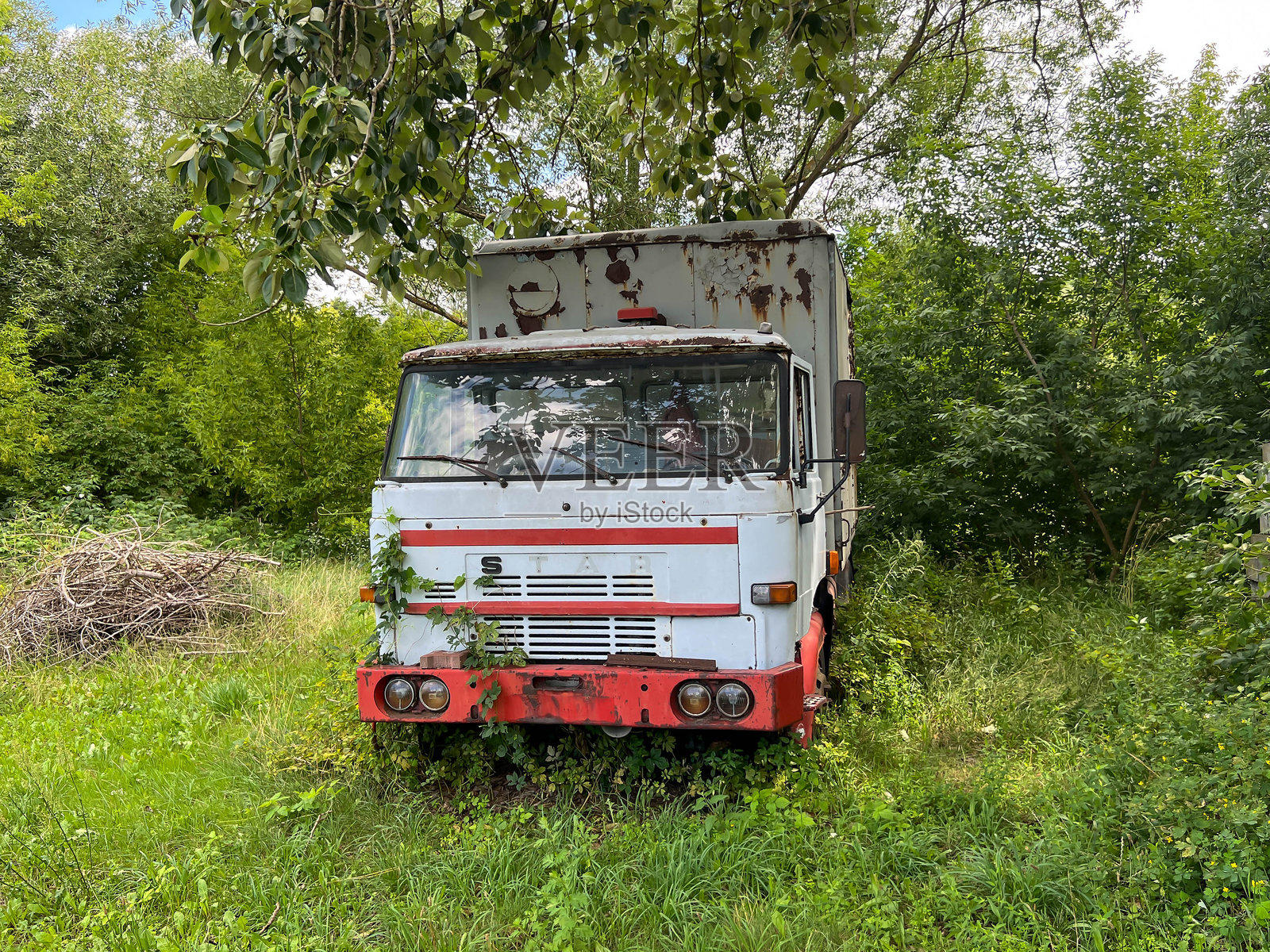 波兰沃索什戈尔尼，2025年7月29日：一辆废弃在灌木丛中的老旧STAR卡车正在变成废料。照片摄影图片