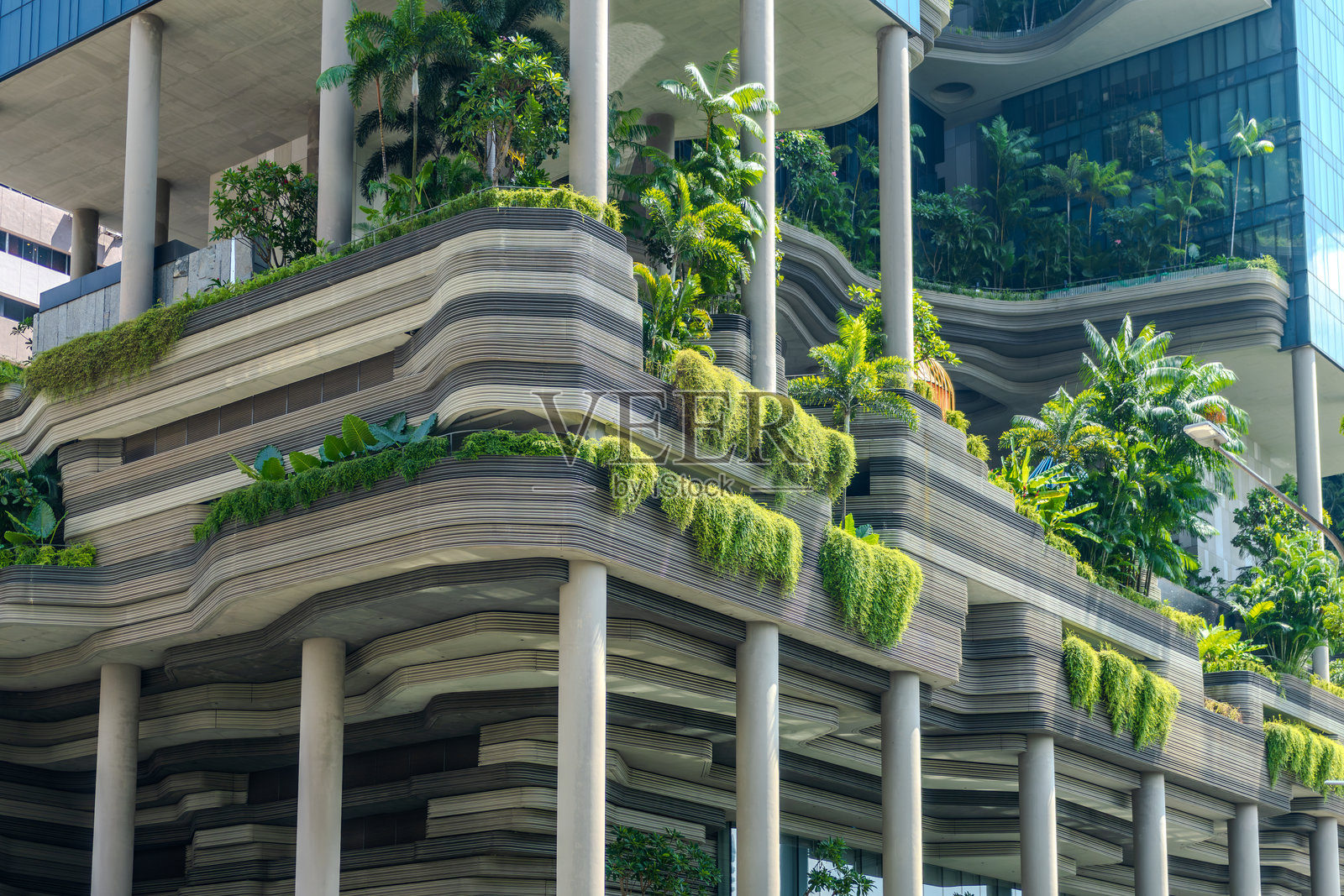 新加坡皮克林宾乐雅酒店的绿色梯田花园照片摄影图片