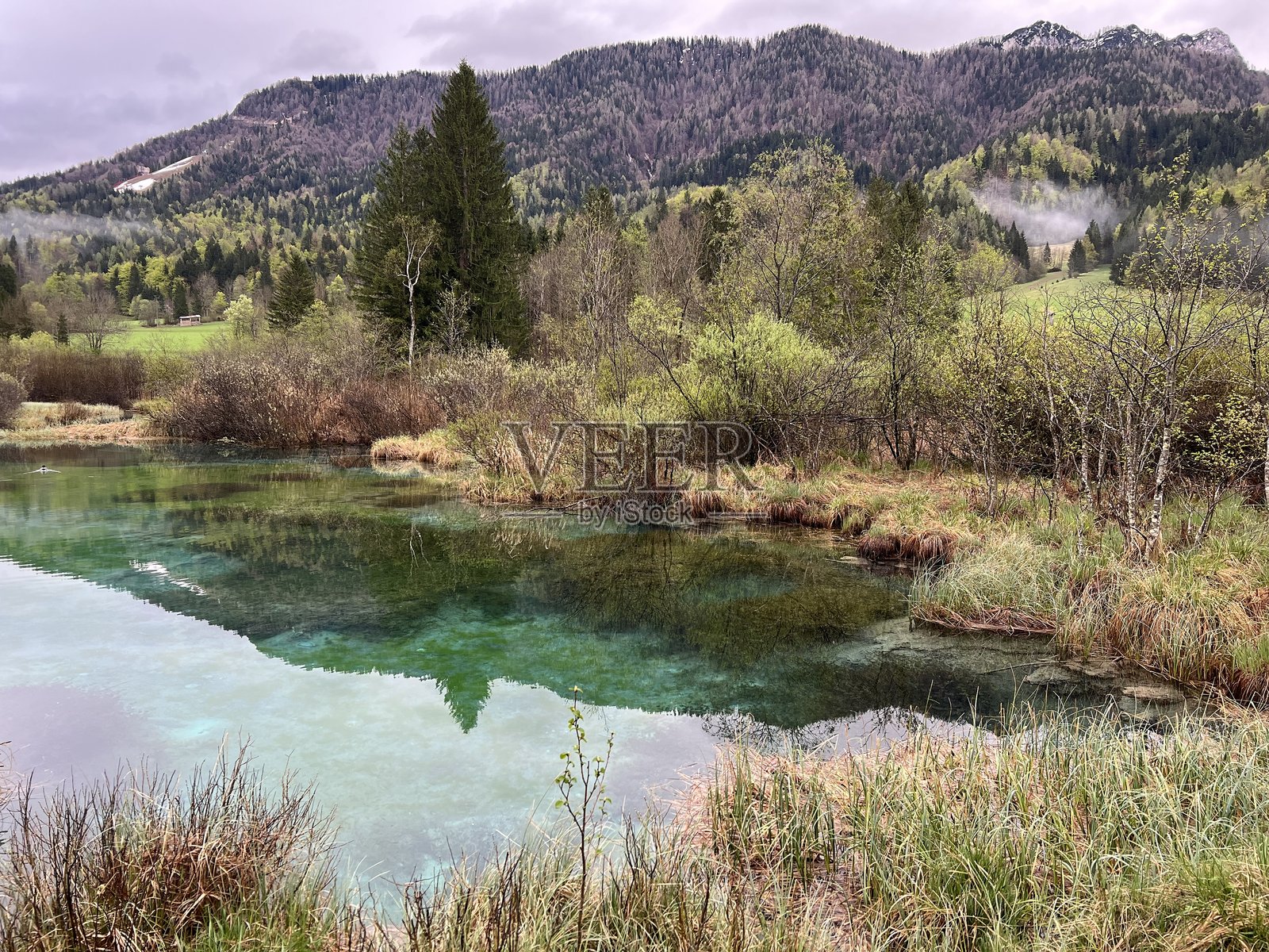 塞伦茨自然保护区——萨瓦多林卡河源头，斯洛文尼亚照片摄影图片