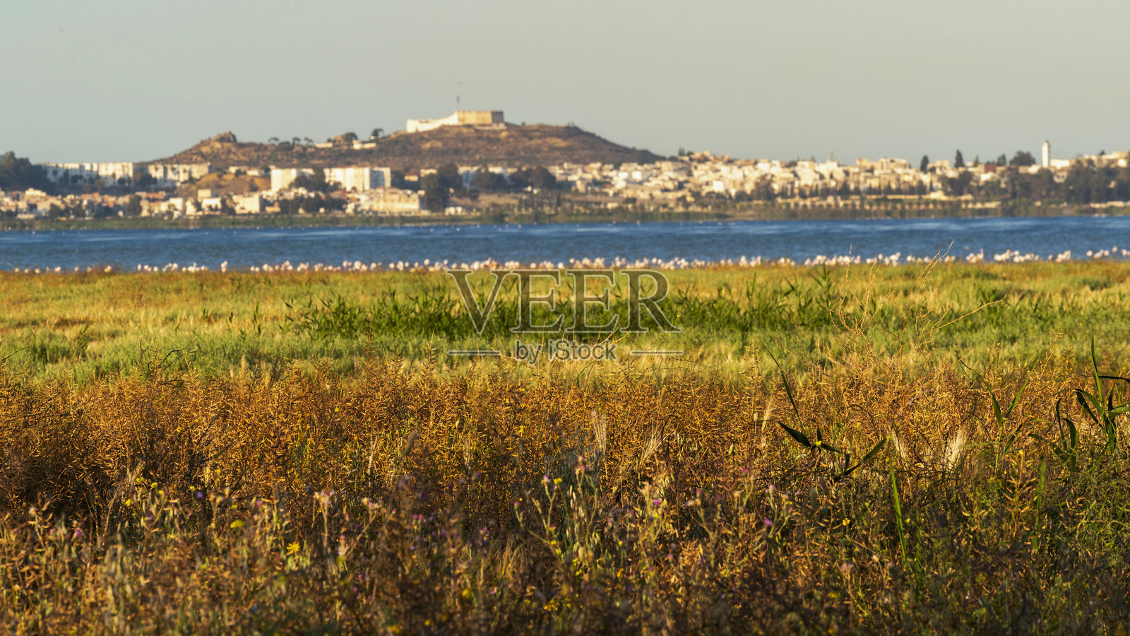 突尼斯塞茹米湖照片摄影图片