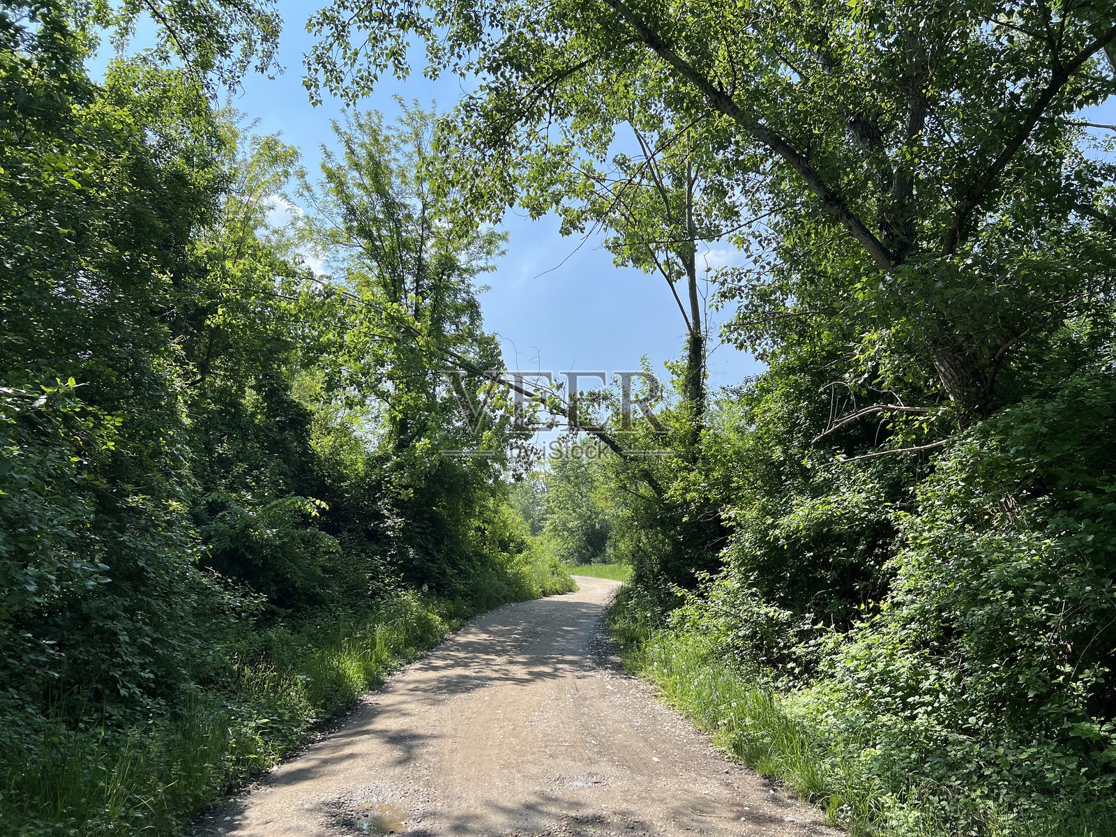 克罗地亚Rakitje或Sveta Nedelja人工湖旁的运动和休闲步道照片摄影图片