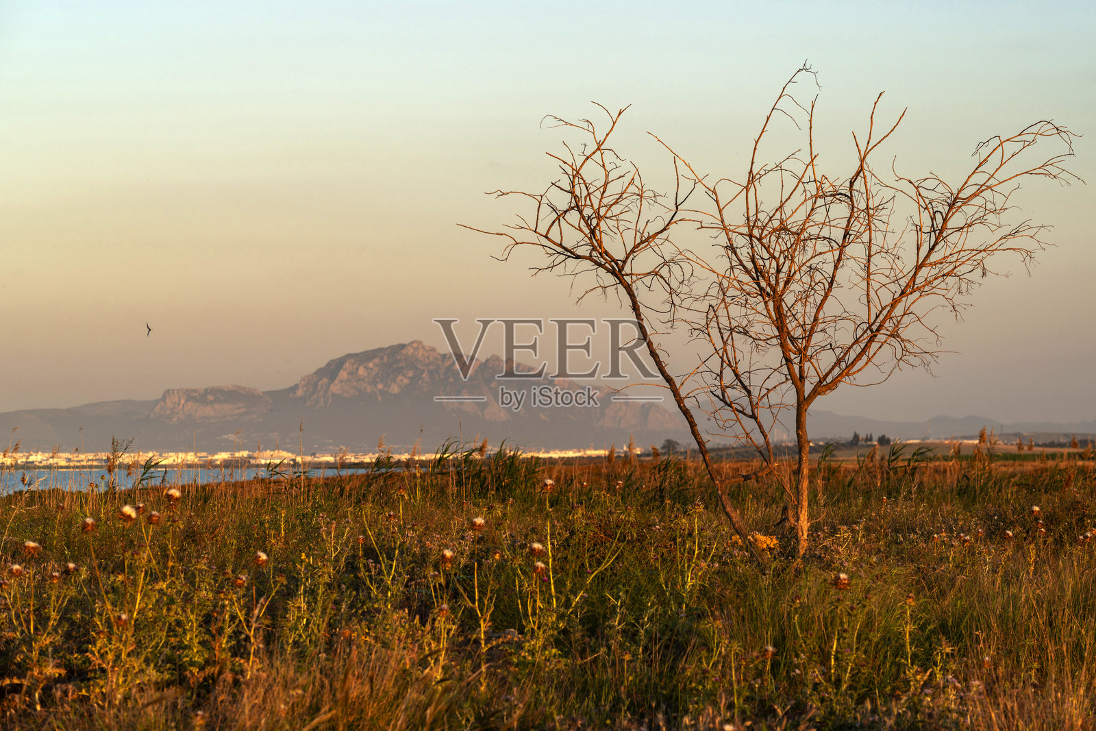 突尼斯塞茹米干湖照片摄影图片