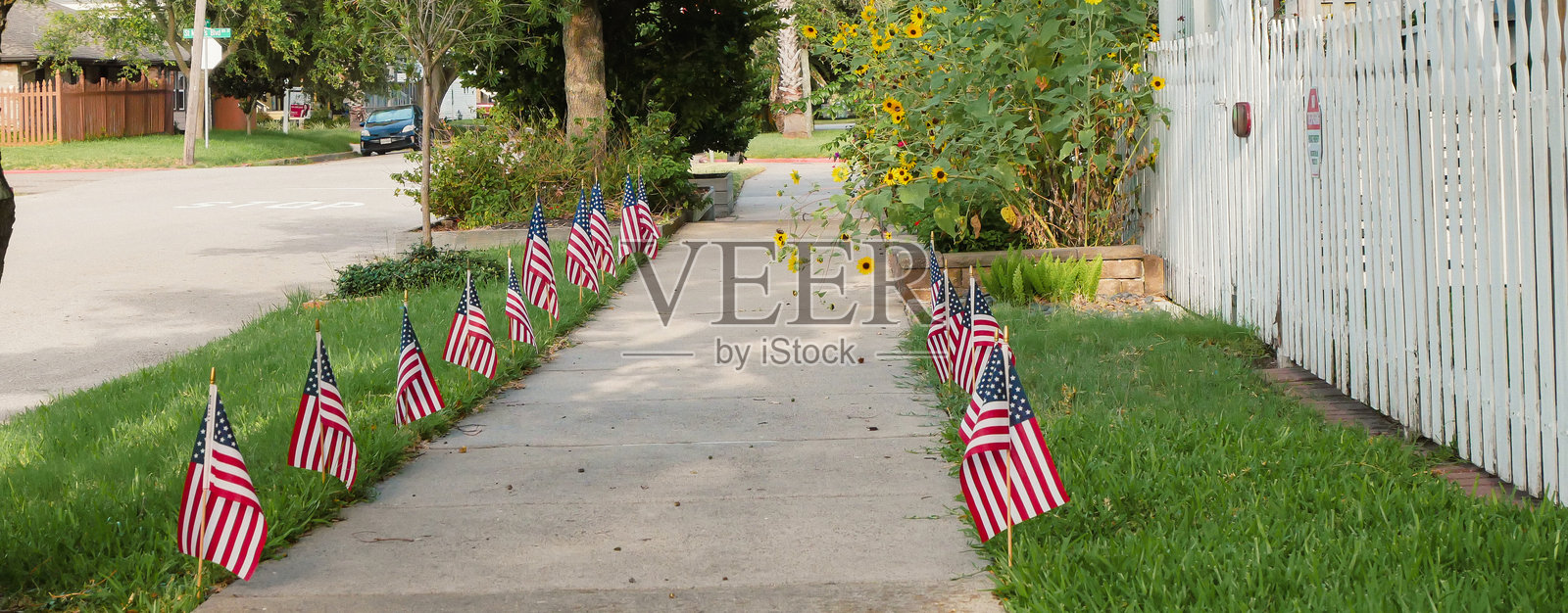 全景视图，宁静的住宅人行道，两旁是美国草坪旗帜，盛开的向日葵通向白色栅栏和阴凉的门廊，社区自豪感，德克萨斯州加尔维斯顿的季节性美景照片摄影图片