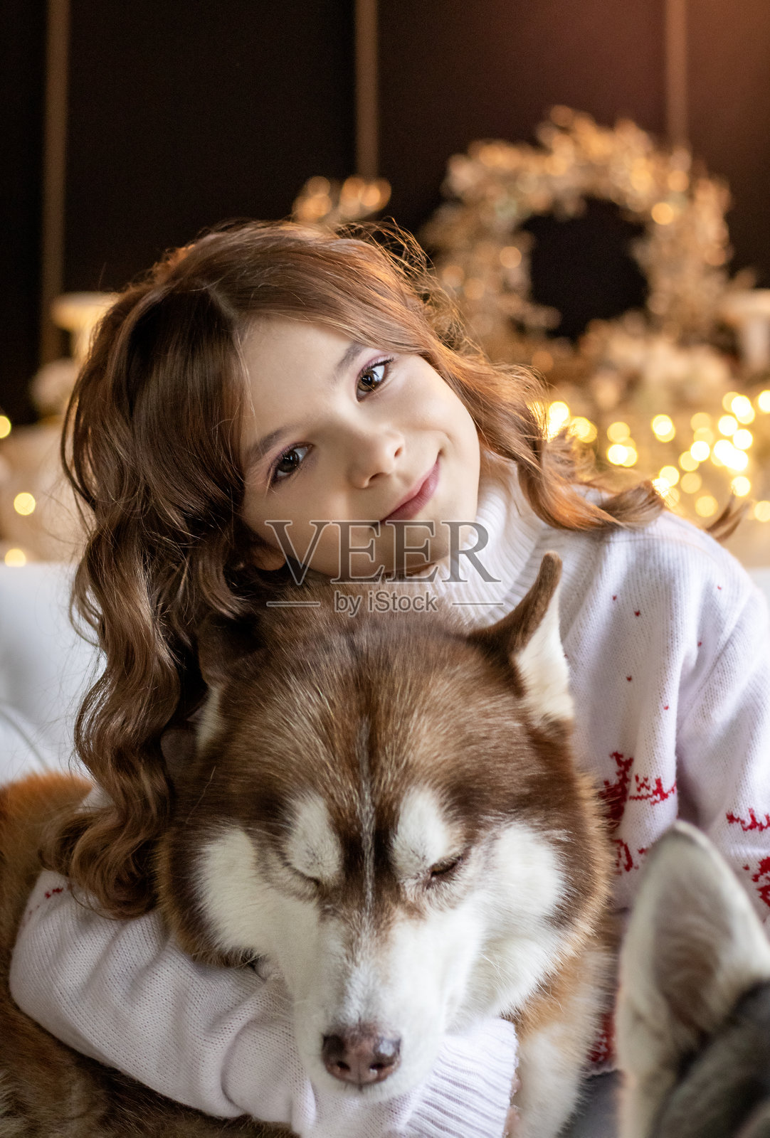 穿着舒适毛衣的女孩在温馨的节日灯光下依偎着哈士奇照片摄影图片