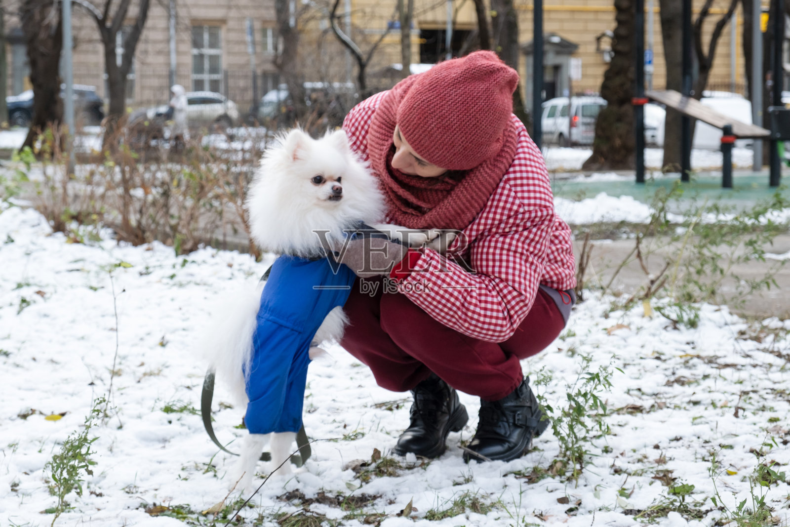 女主人与穿着保暖连体衣的蓬松斯皮茨犬在城市公园互动照片摄影图片