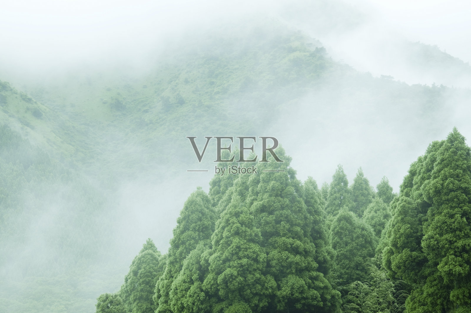 雾中的阿苏山照片摄影图片