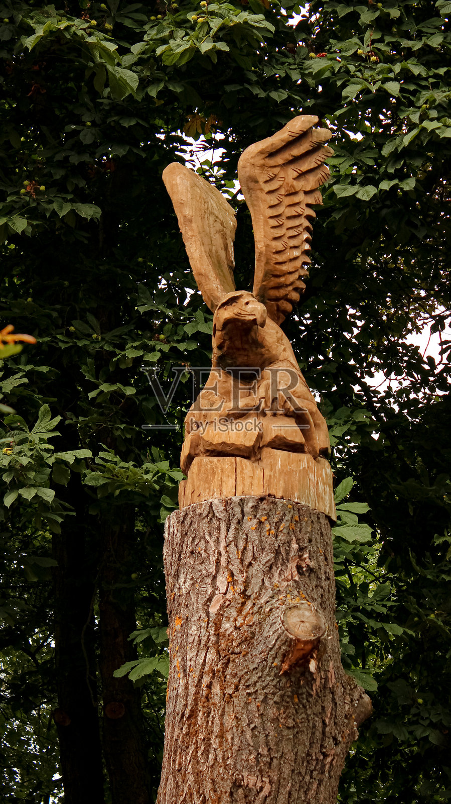 森林中木雕老鹰图腾全景——手工雕刻的树雕照片摄影图片