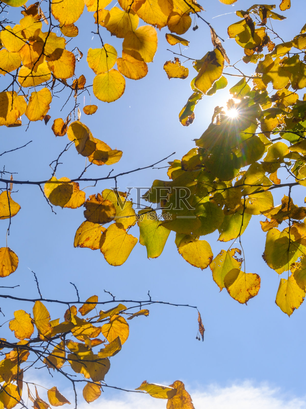 十月的蒙扎公园照片摄影图片