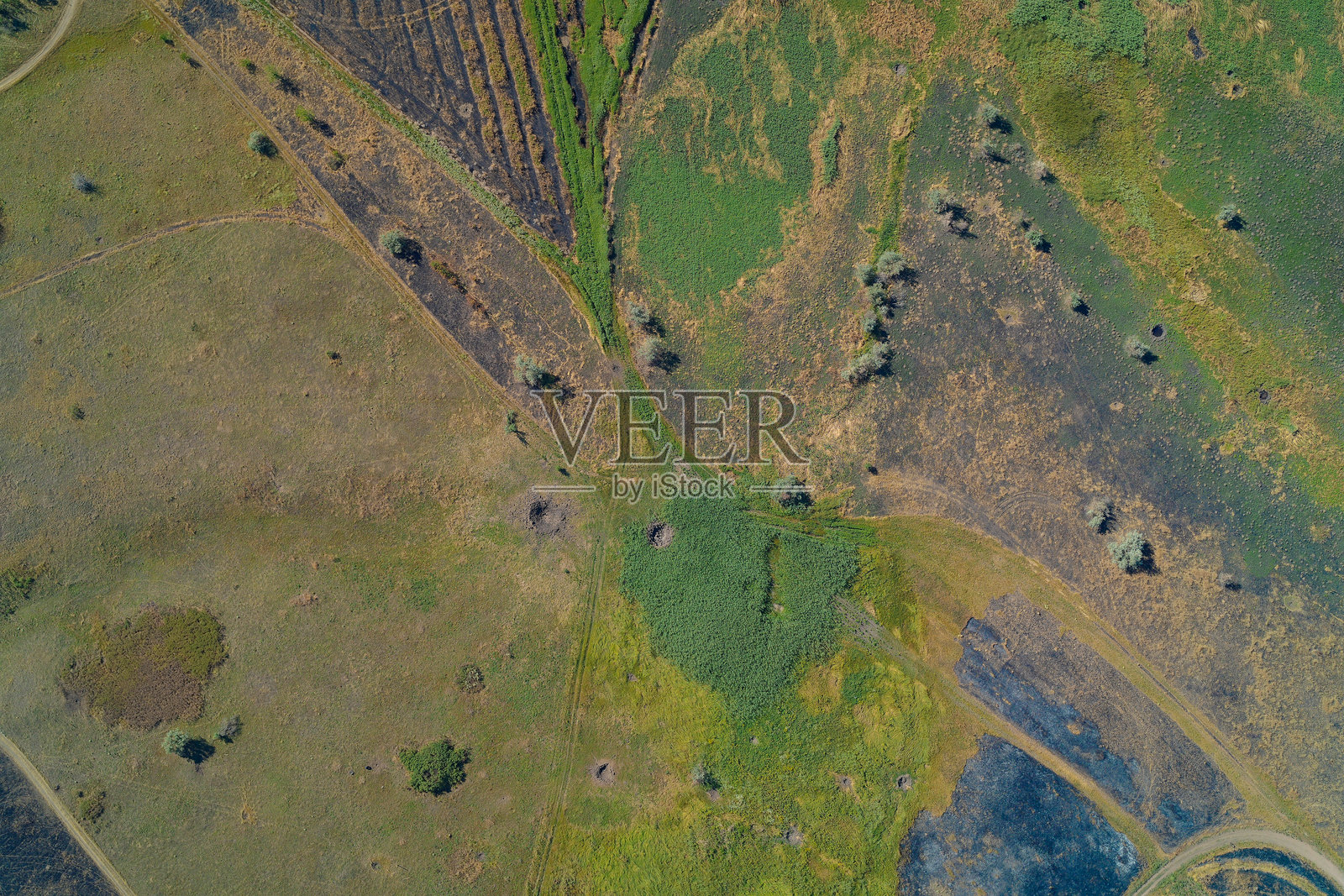 航拍俯视农田，显示出弹坑和火灾造成的破坏。冲突后的景观。照片摄影图片