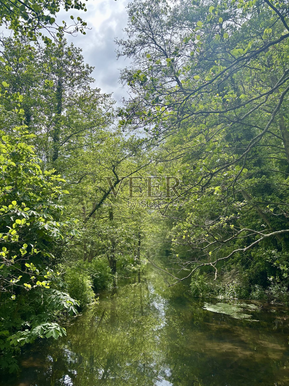 湖泊与树木倒影——英格兰汉普郡温彻斯特的自然风光照片摄影图片