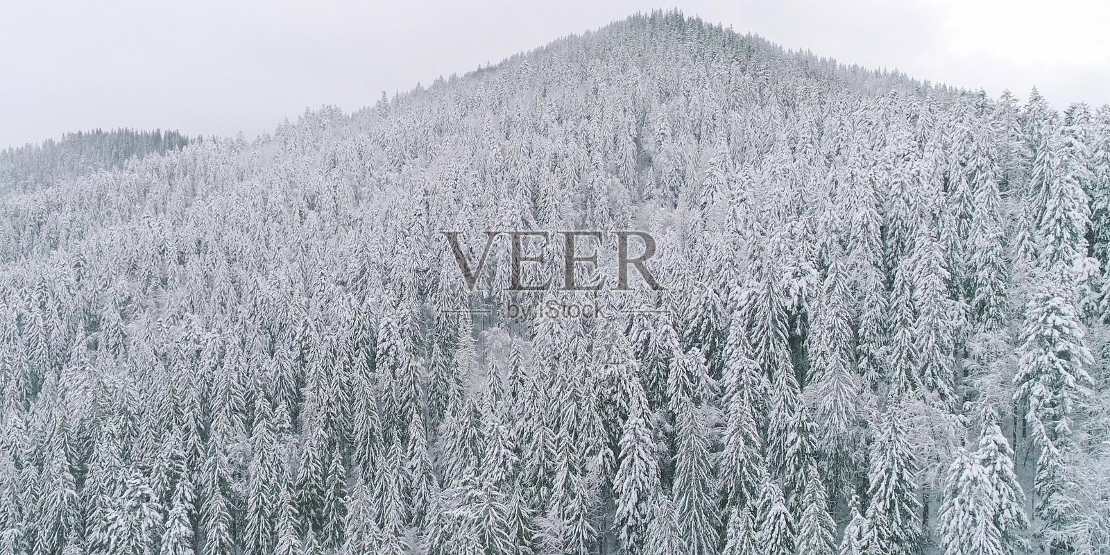 雪林山丘，冬日圣诞景观，下雪照片摄影图片