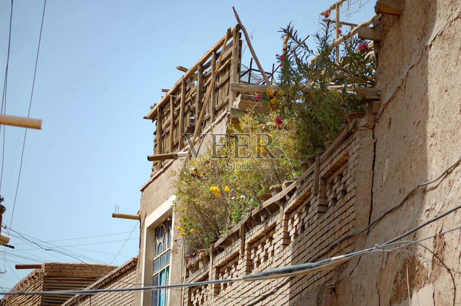 晴朗天空下，老建筑墙壁上生长着植物照片摄影图片