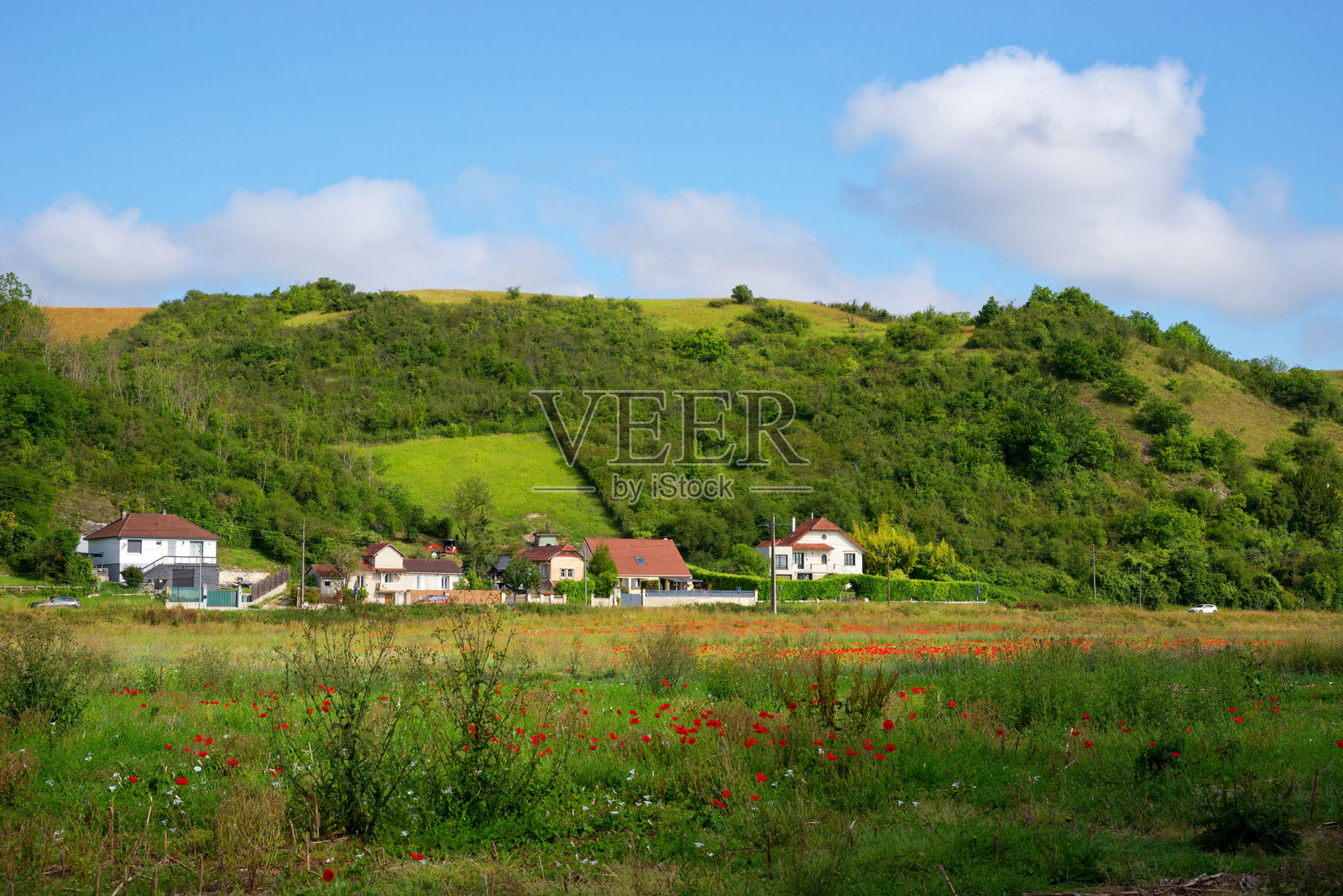 塞纳河畔国家自然保护区照片摄影图片