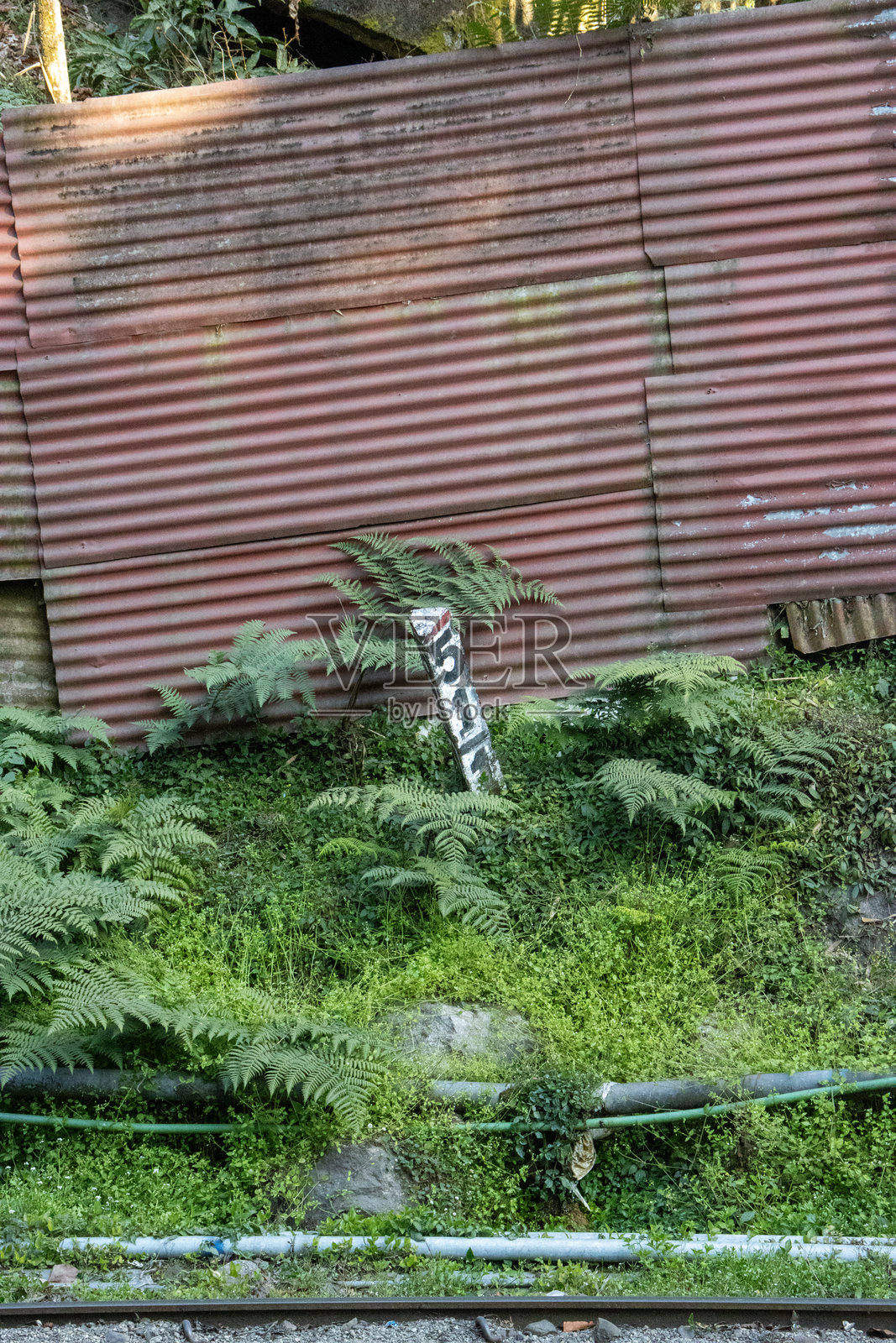 印度大吉岭典型的废弃旧建筑，上面覆盖着落叶照片摄影图片