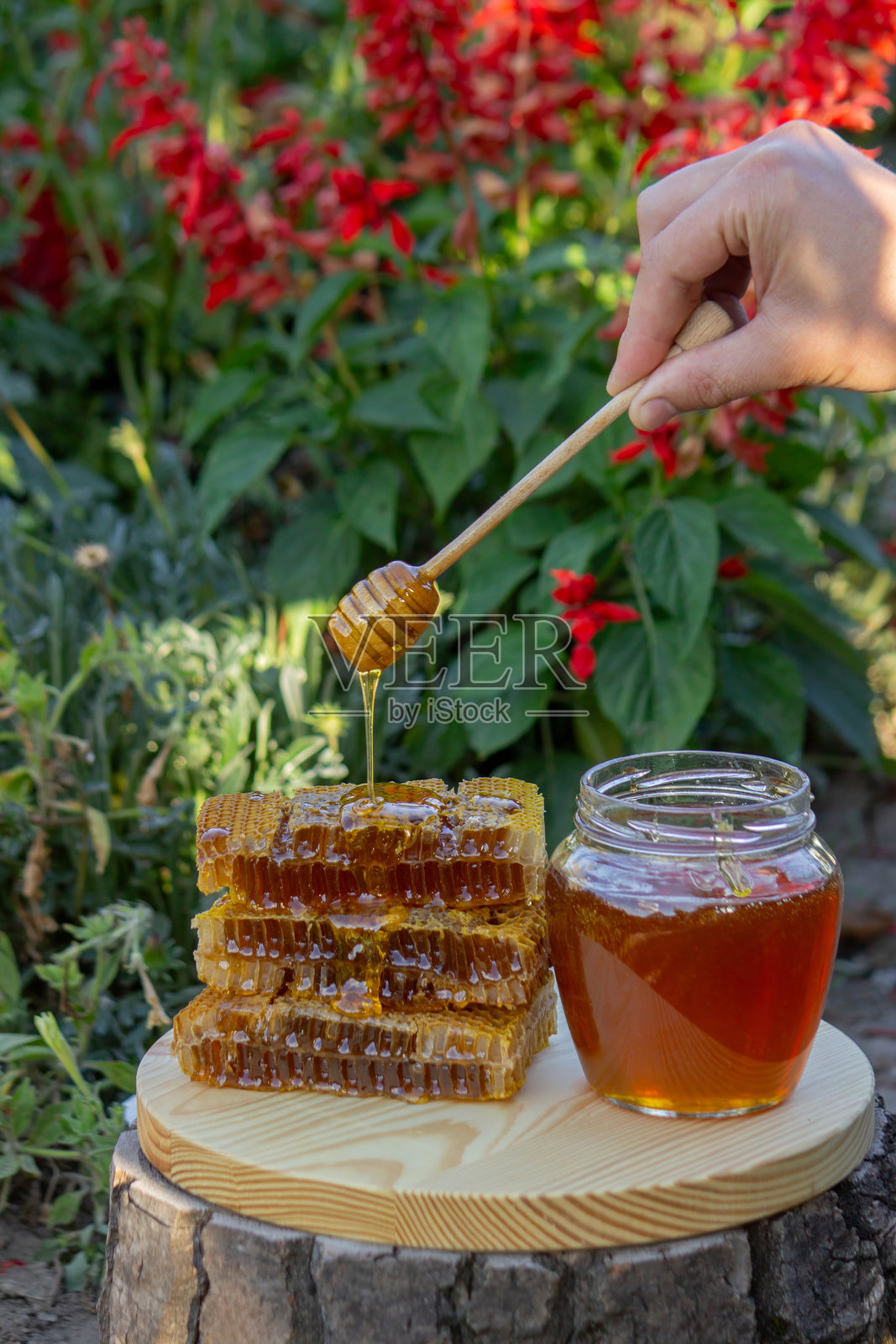 阳光下，天然蜂蜜从蜂蜜勺滴落到蜂巢上照片摄影图片