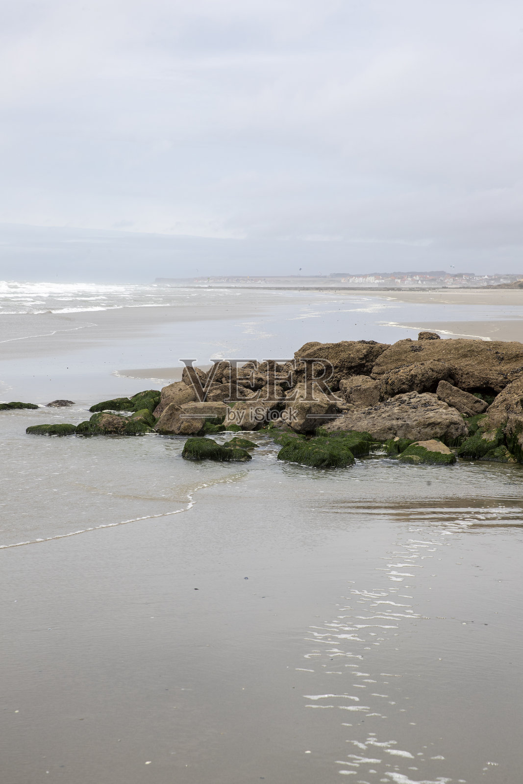 长满绿色藻类和苔藓的岩石海岸和岩石。照片摄影图片