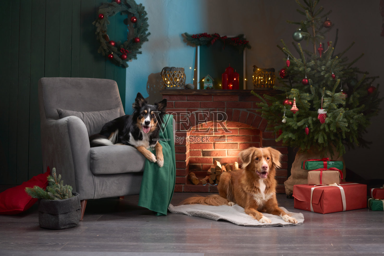 两只狗在温馨的壁炉旁照片摄影图片