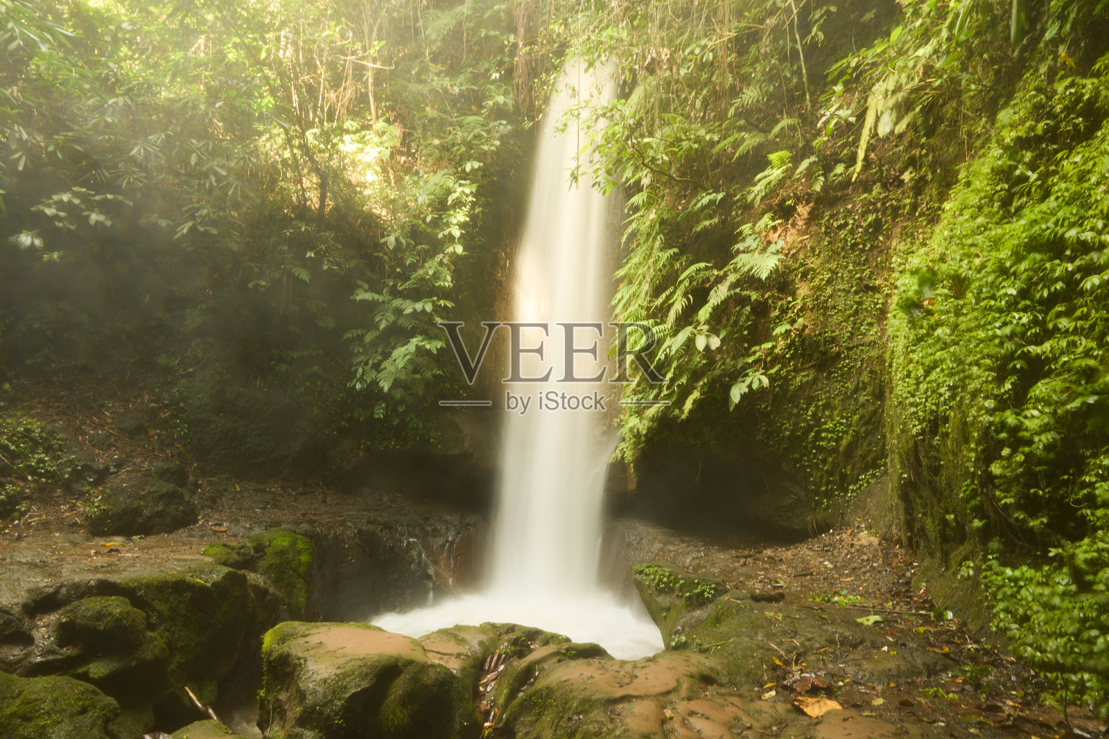宁静的森林瀑布，四周环绕着郁郁葱葱的绿色植物、薄雾和崎岖的岩石，置身于一派祥和之中照片摄影图片