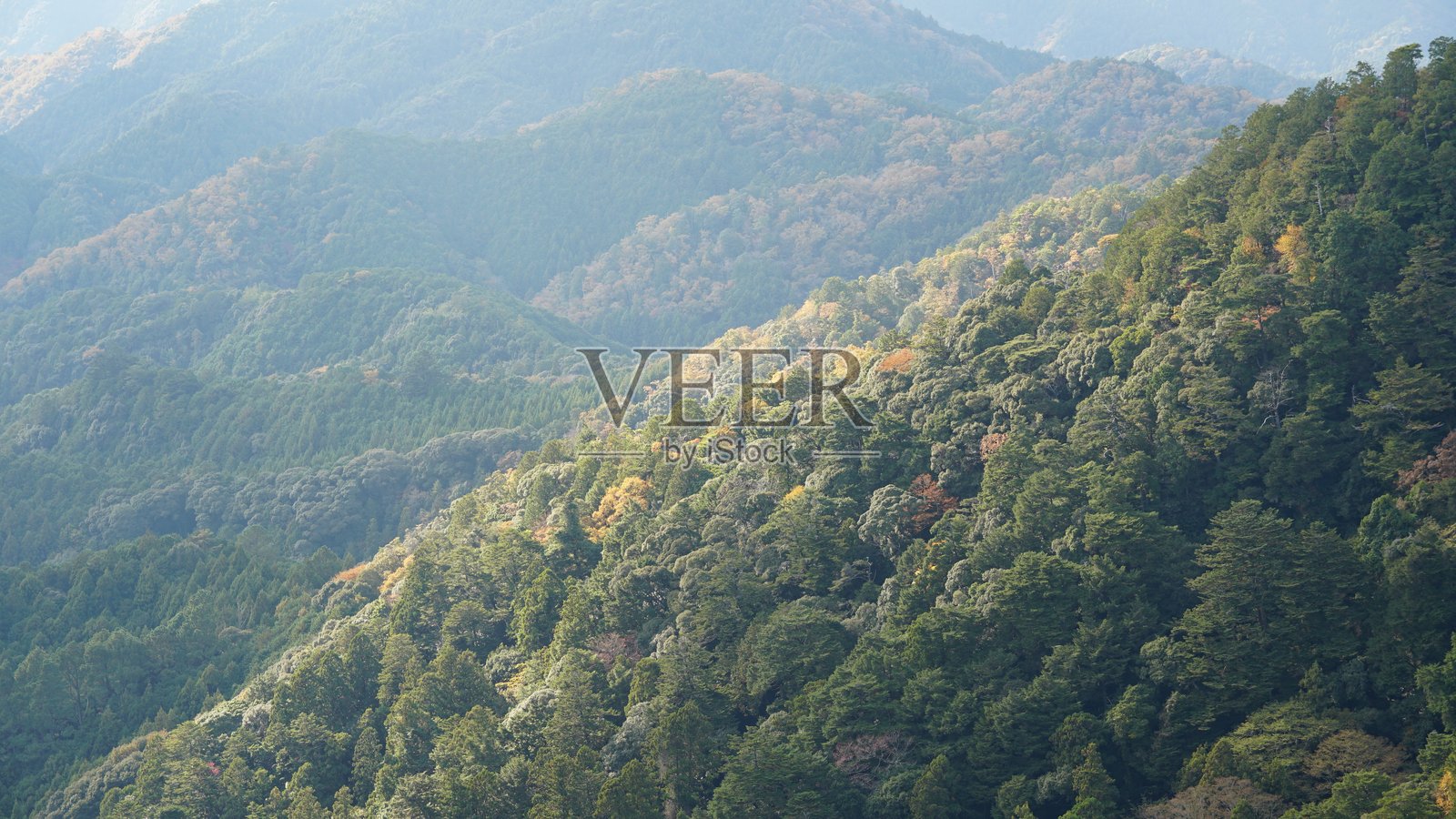 日本爱知县新城稻荷山秋日风光与红枫照片摄影图片