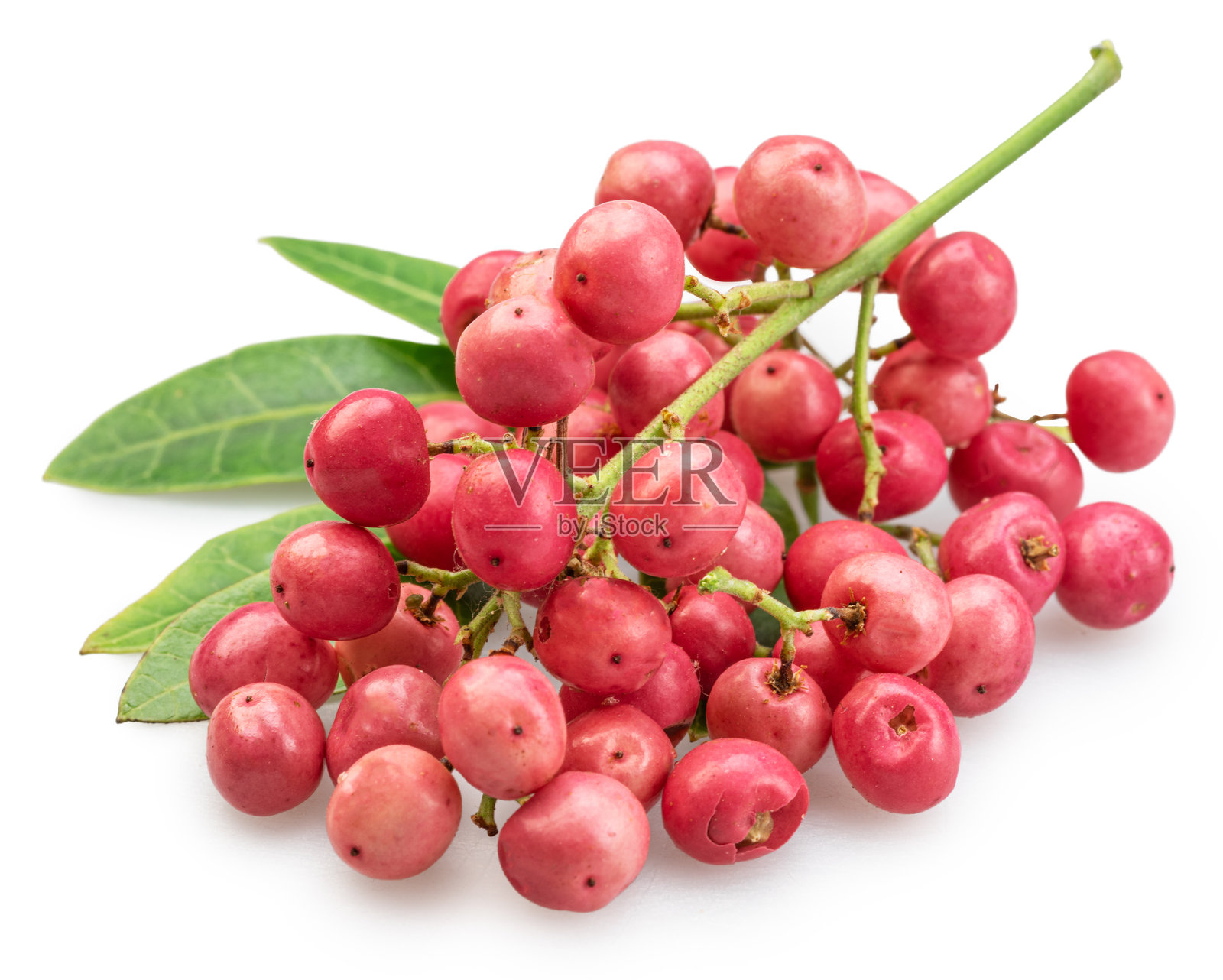 新鲜的粉红胡椒粒带绿叶，在白色背景上孤立。文件包含剪切路径。照片摄影图片