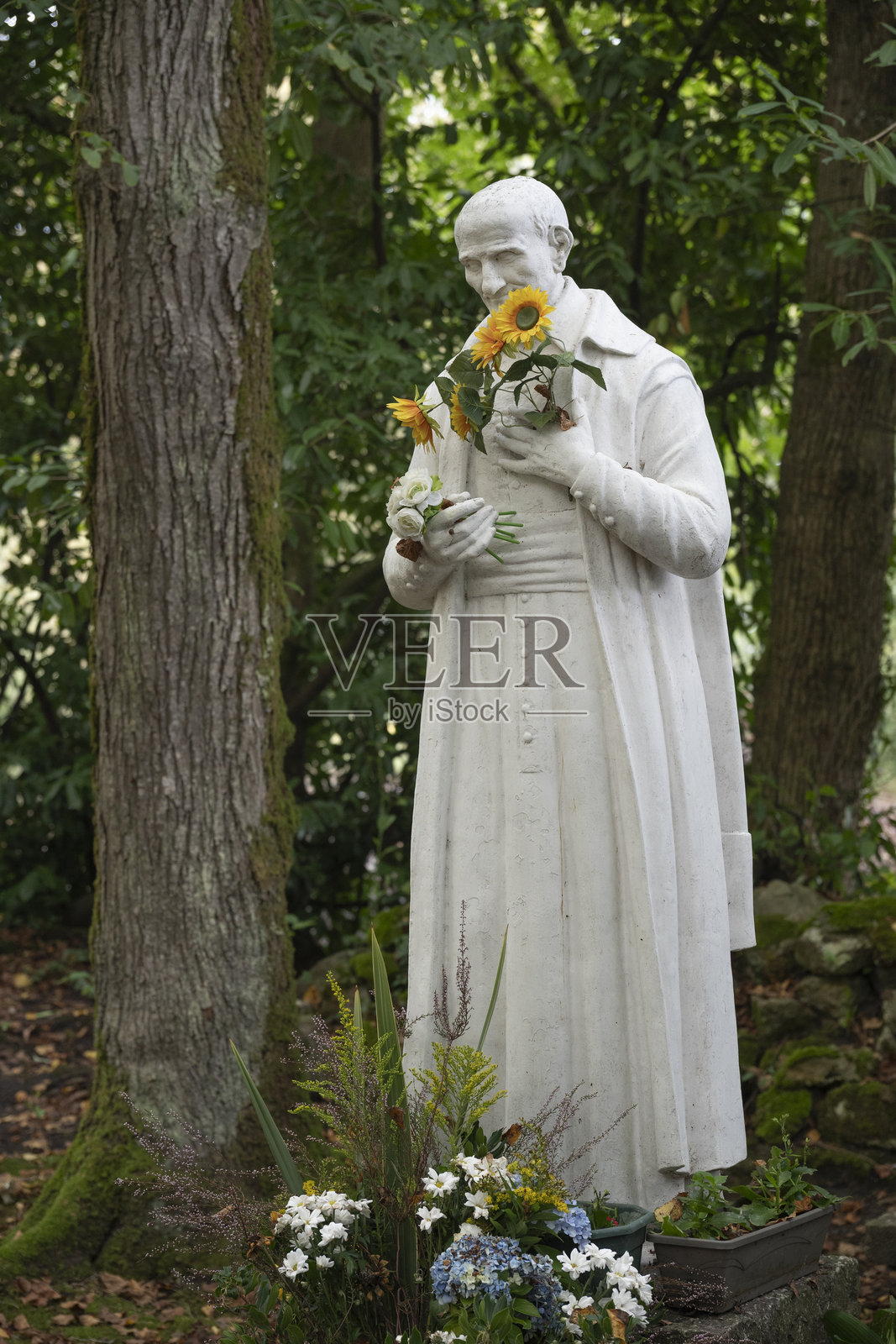 圣文森特·德·保罗雕像，位于自然环境中的布格卢斯圣母大教堂照片摄影图片