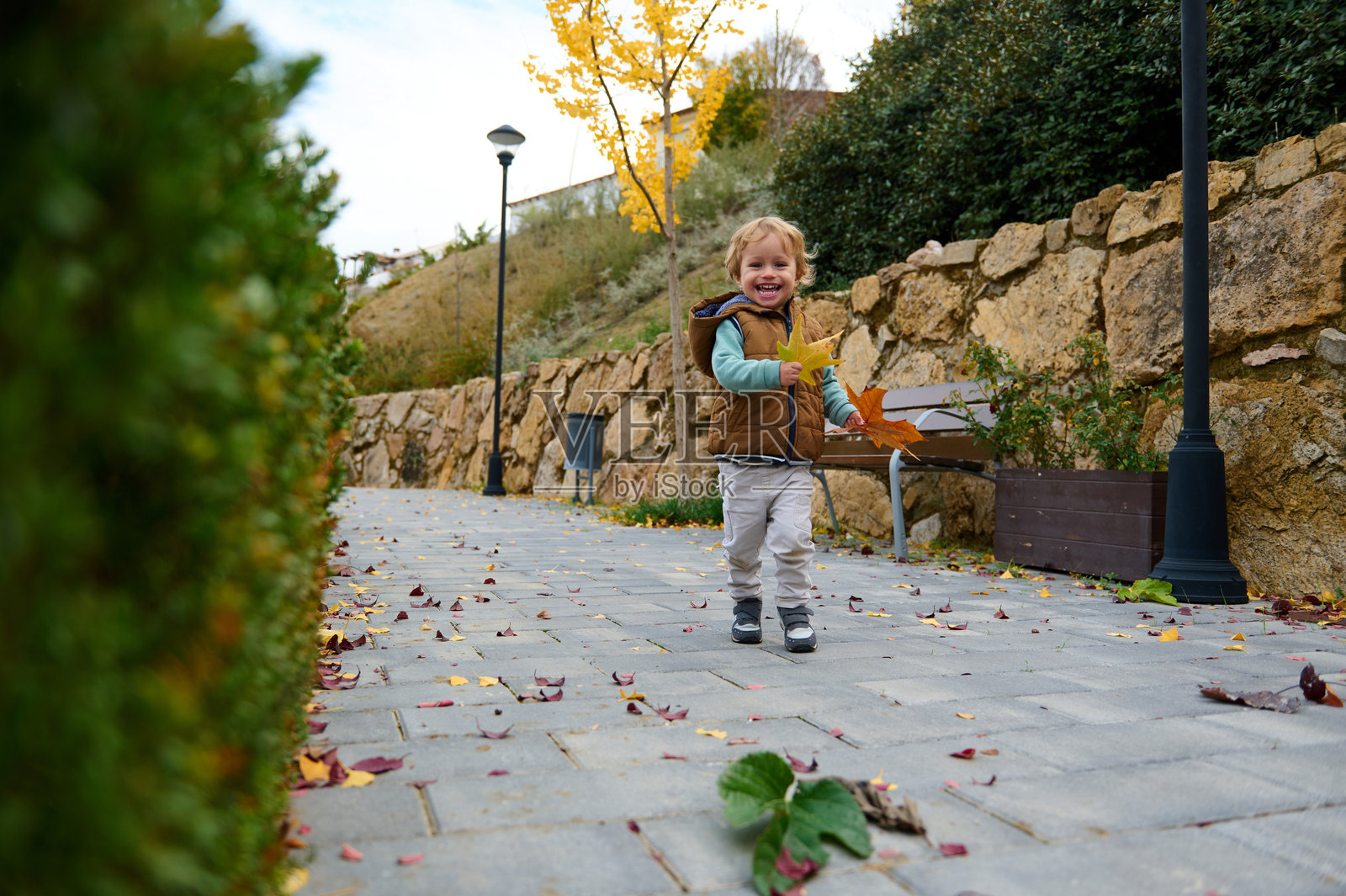 快乐的学步儿童在秋季公园里小心翼翼地探索，手里拿着落叶照片摄影图片