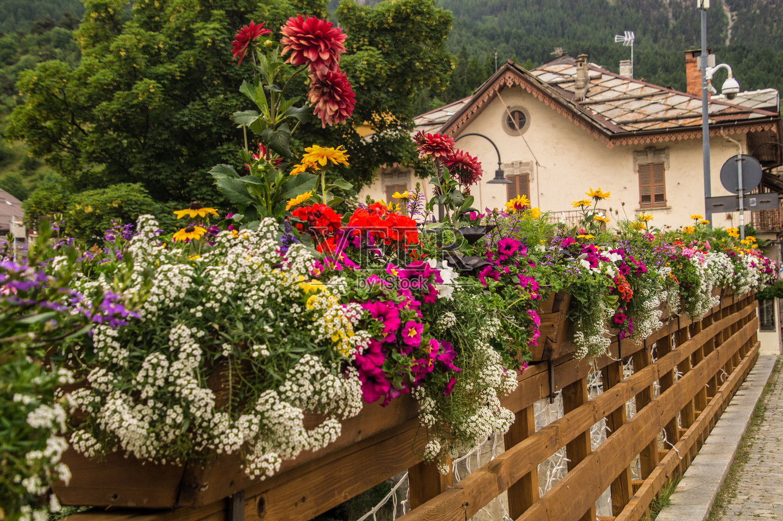 皮埃蒙特省照片摄影图片