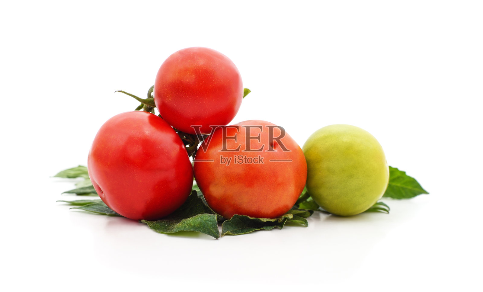 新鲜的红绿番茄叶子孤立在白色背景上照片摄影图片