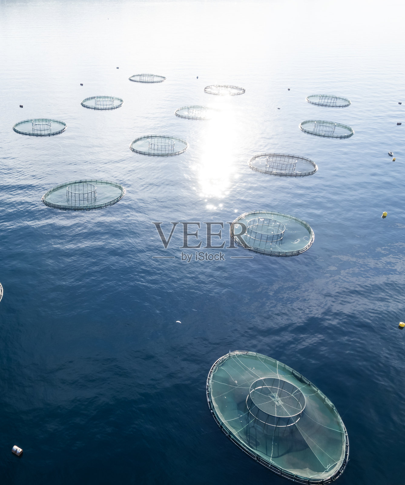 无人机视角下的海上养鱼场照片摄影图片